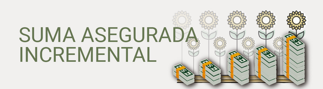 Suma asegurada incremental