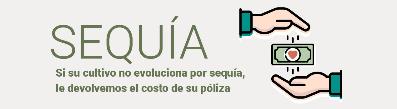 Sequía