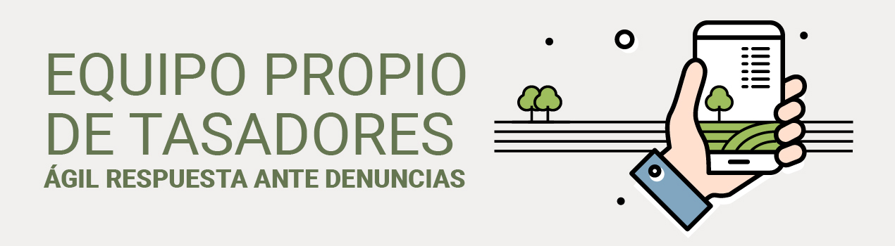 Equipo propio de tasadores