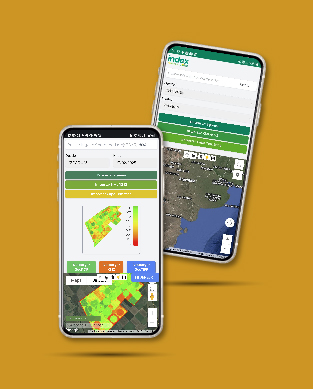 Ing. Agr. Mariano Delbuono